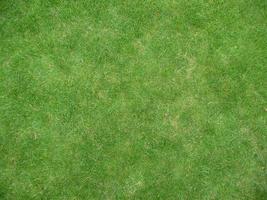 Grün Gras Textur können Sein verwenden wie Hintergrund foto