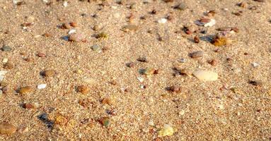 das sandig Strand durch das Meer ist ein Sicht zu erblicken. mit Sanft golden Sand macht Sie Gefühl erfrischt und verjüngt. sandig Strände, Muscheln und Felsen machen Strand schön im Natur. gut Platz zu entspannen foto