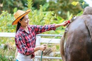 porträt einer glücklichen jungen asiatischen bäuerin mit hut, die daran arbeitet, kuh auf dem bauernhof zu reinigen. landwirtschaftsindustrie, landwirtschaft, menschen, technologie und tierhaltungskonzept. foto