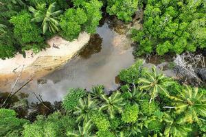 Drohne Schuss von Fluss und üppig Vegetation, mahe Seychellen foto