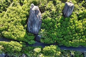 schön Straße das das Cliff, enorm Granit Felsen, üppig Vegetation foto