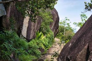 anse Haupt Natur Weg Felsen, Fußweg und Pflanzen, mahe Seychellen foto