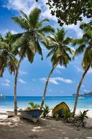 Kokosnuss plam Bäume und Boote in der Nähe von das Strand von Takamaka, mahe Seychellen foto