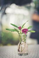 Blumen auf dem Tisch foto