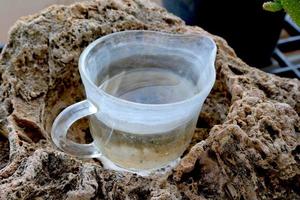 sauber Wasser ist im das Glas, welche ist ein Zucht Boden zum Mücken und Spreads Krankheit. foto