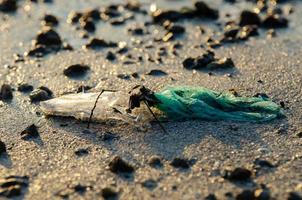 Plastik Müll beim Meer Küsten im Morgen foto