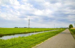 Straße durch Natur mit Felder und Streams im Deutschland. foto