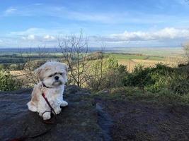 ein Aussicht von das Cheshire Landschaft beim Bickerton Hügel foto