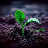 das Wachstum von ein Neu Pflanze im das Boden von das Erde, Umwelt Pflege, Grün Energie - - ai generiert Bild foto