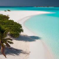 Malediven Weiß Sand Strand und Blau transparent Ozean - - ai generiert Bild foto