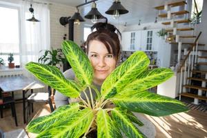 ein glücklich Frau im ein Grün Haus mit ein eingetopft Pflanze im ihr Hände lächelt, nimmt Pflege von ein Blume. das Innere von ein gemütlich umweltfreundlich Haus, ein Kamin Herd, ein Hobby zum wachsend und Zucht Homeplant foto