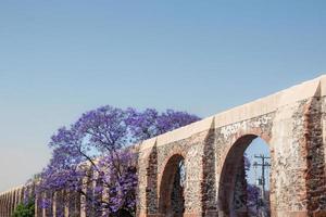 queretaro Mexiko Aquädukt mit Palisander Baum und lila Blumen foto