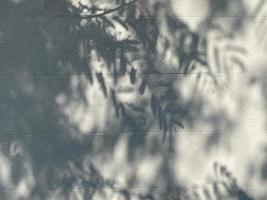 Blätter Schatten Hintergrund auf Beton Mauer Textur, Blätter Baum Geäst Schatten mit Sonnenlicht foto