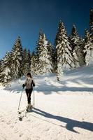 jung Frau genießen Winter Tag von Skifahren Spaß im das Schnee