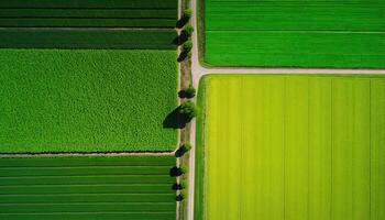 generativ ai, Bauernhof Landschaft, landwirtschaftlich Felder, schön Landschaft, Land Straße. Natur Illustration, fotorealistisch oben Aussicht Drohne, horizontal Banner. foto