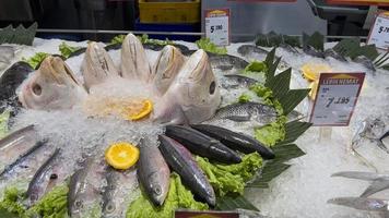 viele von frisch Fisch im das Supermarkt foto