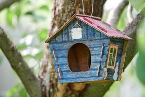 Vogelhäuschen am Baum foto