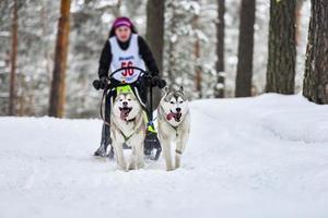 Husky-Schlittenhunderennen foto