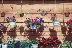 viele Blume Töpfe hängend gegen braun hölzern Mauer von Sommer- Hütte foto