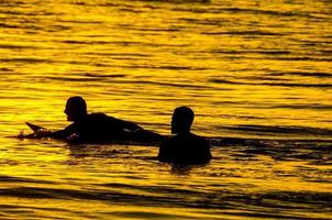 im Meer schwimmen foto