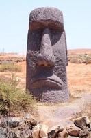 Moai Statue im das Wüste foto