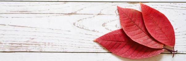 mehrere rote Herbst gefallene Blätter auf einem hellen Holzbretthintergrund