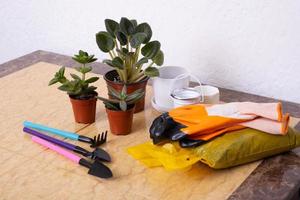Pflanzen und Gartenarbeit Werkzeuge mit Handschuhe, Töpfe auf Marmor Tisch. Zuhause Gartenarbeit Konzept foto