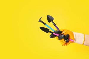 Hand im Gartenarbeit Handschuh mit Gartenarbeit Werkzeuge auf ein farbig Hintergrund foto