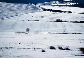 schneebedeckte Felder und Wiesen foto