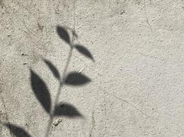 Blätter Schatten Hintergrund auf Beton Mauer Textur, Blätter Baum Geäst Schatten mit Sonnenlicht foto