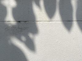 Blätter Schatten Hintergrund auf Beton Mauer Textur, Blätter Baum Geäst Schatten mit Sonnenlicht foto