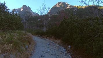 Wald Pfad zwischen Bäume im das Hintergrund von Berge. hoch Tatra, Slowakei foto