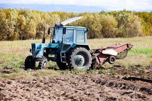 Ernte Kartoffeln im das Felder von ein Farmer zum Essen im Russland im das fallen foto