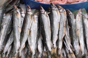 Nahansicht Aussicht von getrocknet gesalzen Stint Fisch auf Zähler beim Fisch Markt foto