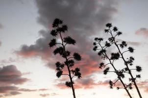 schöner bewölkter Himmel foto