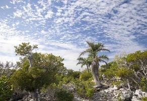 Hälfte Mond cay Insel Wolkenlandschaft und Wildnis foto