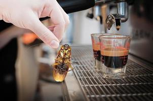 die hand der frau, die kakerlake auf kaffeemaschine frischer hintergrund hält, kakerlake im café und in der küche beseitigen foto
