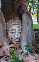 Buddha Kopf im Banyan Baum im archäologisch Seite? ˅ Nord thailand, überlieferung thailändisch Kunst foto