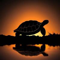 Schildkröte Silhouette ai generiert foto