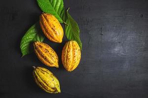 frische Kakaofrucht Draufsicht foto