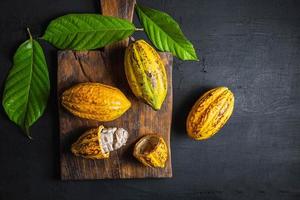 frische Kakaofrucht auf einem schwarzen Hintergrund foto