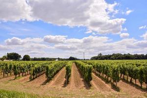 szenisch ländlich Landschaft foto