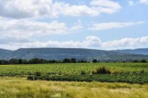 szenisch ländlich Landschaft foto