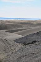 Sanddünen am Meer foto