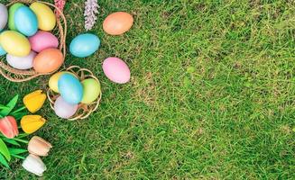 glücklich Ostern Urlaub Gruß Karte Konzept. bunt Ostern Eier und Frühling Blumen auf Grün Gräser Hintergrund. eben legen, oben Sicht, Kopieren Raum. foto