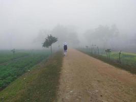 das Mädchen ist gehen durch ein nebelig Straße.auf ein kalt Winter Morgen.Schule Mädchen mit Tasche. foto