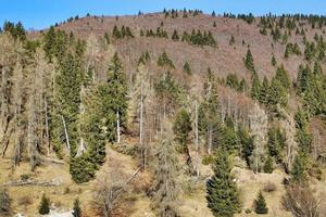 malerische Berglandschaft foto