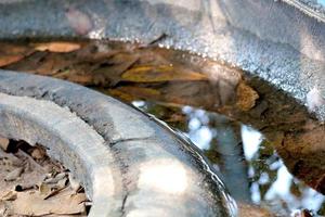 Wasser im das Tablett im Wald, welche ist ein Zucht Boden zum Mücken und Spreads Krankheit. foto