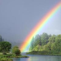 Regenbogen im Himmel mit Grün Bäume foto