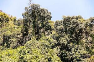 ländlich Landschaft im Asien foto